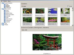 DropCycle (alternative webshots manager) using xelements
