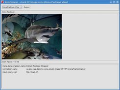 Normalised image file shown in the Xena viewer