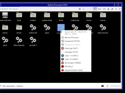 sudo enabled process monitoring and control