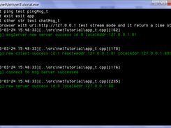 netTutorial_snap