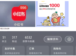 xiaohongshu-mcp Screenshot 1