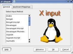 xinput General Tab