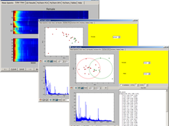 Xmaldi PCA and DFA Views