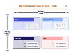 Boston Consulting Group - BGC Matrix Ver