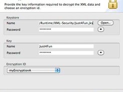 XML Decryption Wizard