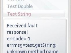 Test application - fault response received from the server