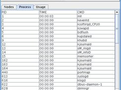 displays all the processes running on the selected Node