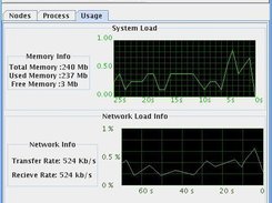 graphical representation of the System and the Network Load.