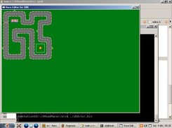 Screenshot of the Race editor in action