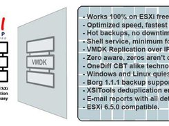 VMDK Mirroring