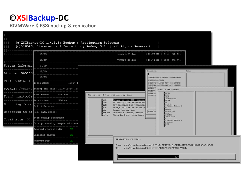 (c)XSIBackup-DC
