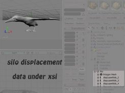 silo displacement data under xsi