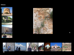 Main Photo Library Directory Sample