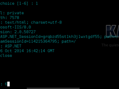xssya v-2.0 Screenshot 2