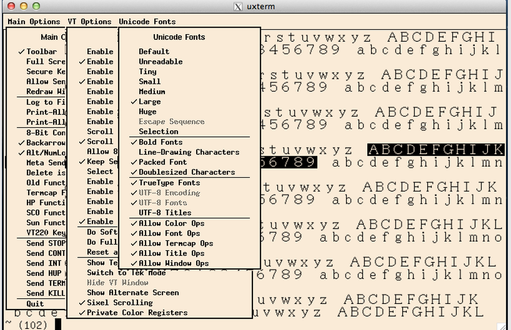 xterm Screenshot 1