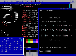Virtual desktop with multiple terminals and widgets open