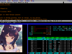 Tiled terminals displaying both text and bitmap images