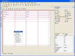 XUI's GuideLayout being configure in the NetBeans plug-in