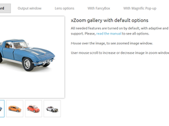 xZoom Screenshot 1