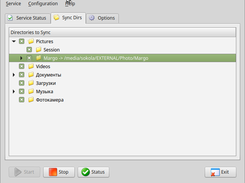 Sync Dirs tab page