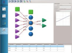 Real-time network detailed execution