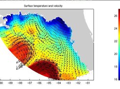 Scalar and vector plot