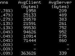 Connections sorted by throughput