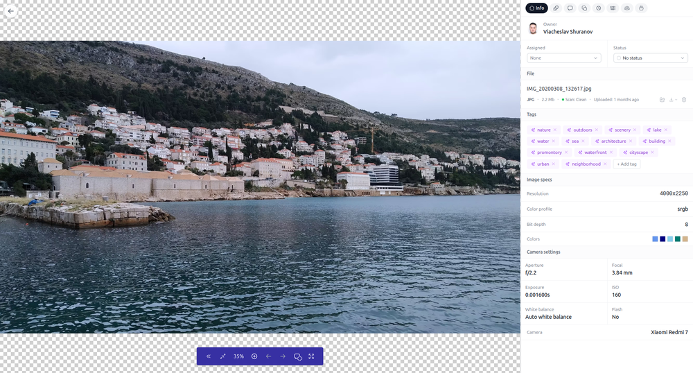 Asset detail view with AI-generated tags, image specifications, camera settings, and full metadata extraction.