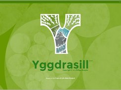 Yggdrasill 0.4.0