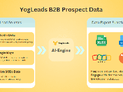 Yog B2B Data Extractor