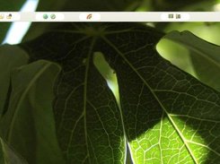 Homepage