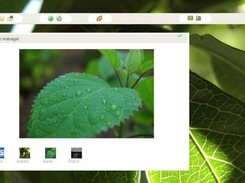 Picture Manager