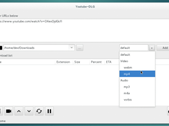 Youtube-DLG Screenshot 1
