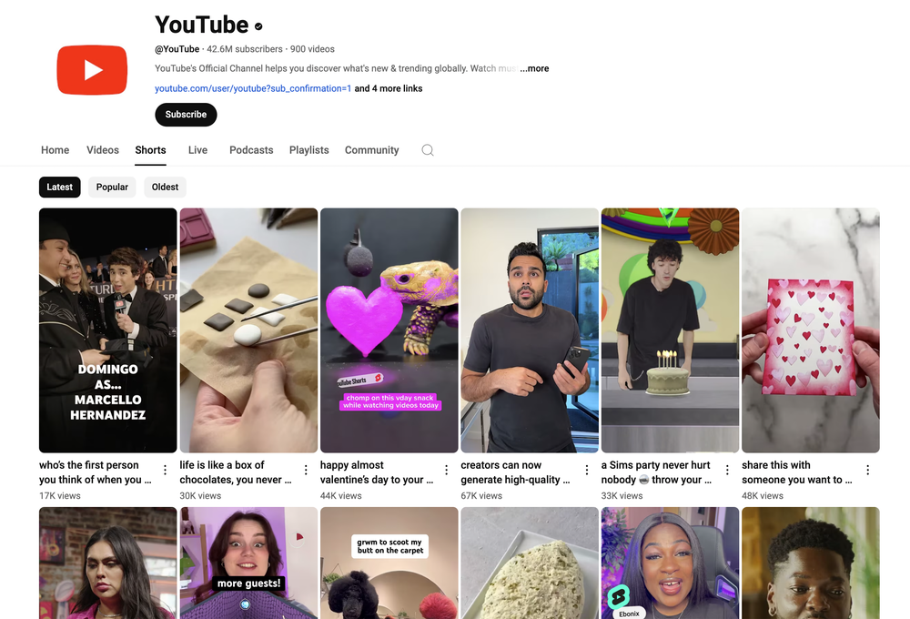 YouTube Shorts Screenshot 1