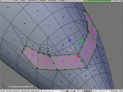 displaying the face IDs with Crouch's script