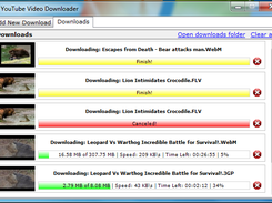 YouTube Video Downloader Screenshot 1