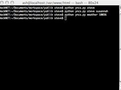yncs usage (two).