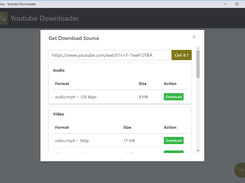 Place Youtube Link and press option