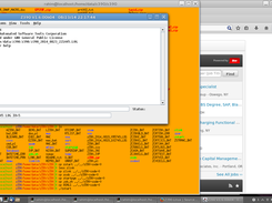 Z390-Linux Screenshot 1