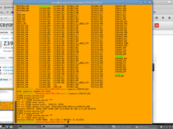 Z390-Linux Screenshot 2