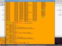 Z390-Linux Screenshot 3