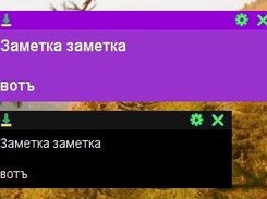 внешний вид