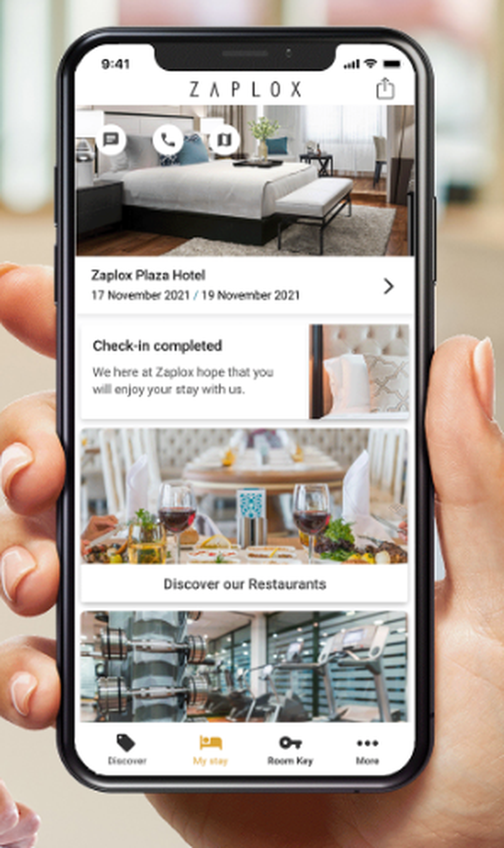 Zaplox Screenshot 1