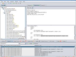 OWASP Zed Attack Proxy Screenshot 4