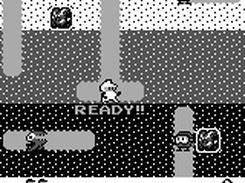 Ready to dig? Go!