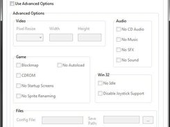 ZDoom Executor Advanced Options