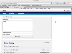 Bloginterface being locked in.