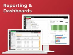 Reporting & Dashboards