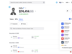 Zerion transaction history for any chain