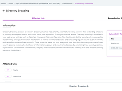 ZeroThreat.ai's vulnerability report 